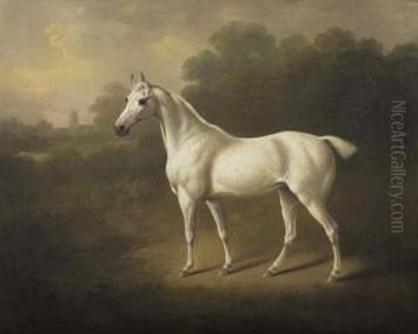 Schimmel In Einer Landschaft. Oil Painting by Jacques Laurent Agasse