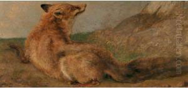 Liegender Fuchs Oil Painting by Jacques Laurent Agasse