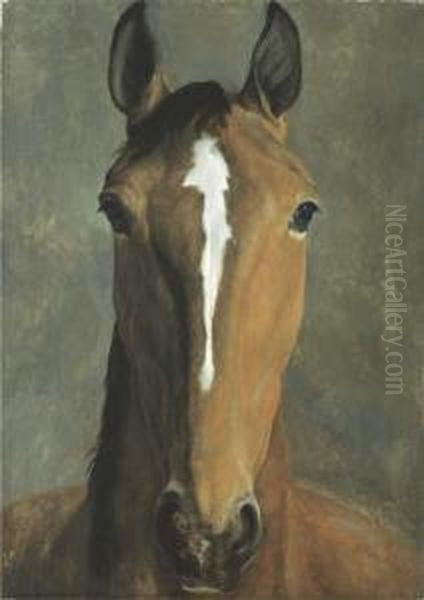 Head Of A Bay Horse Oil Painting by Jacques Laurent Agasse