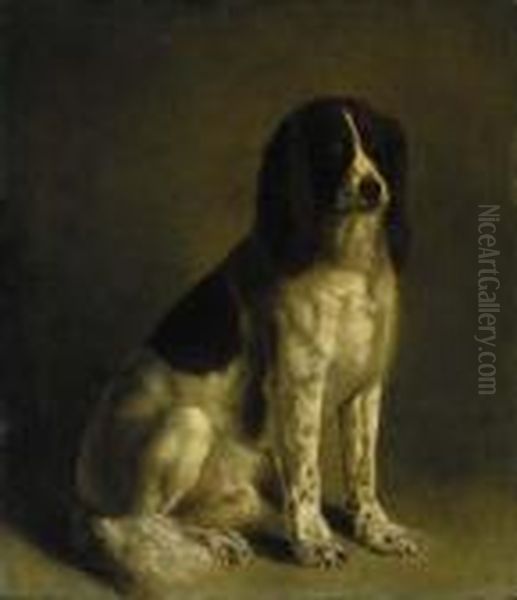 A Springer Spaniel Oil Painting by Jacques Laurent Agasse