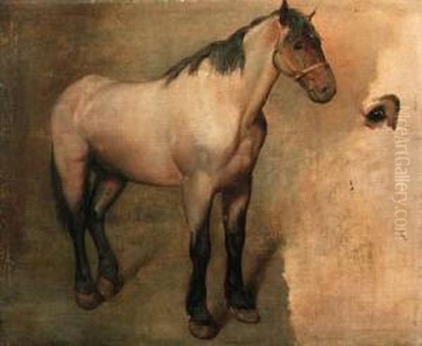 Study Of A Bay Horse Oil Painting by Jacques Laurent Agasse