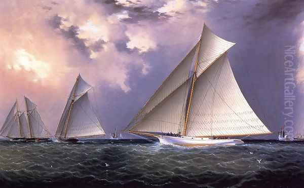 Mischief and Gracie America's Cup Trial Race, 1881 Oil Painting by James E. Buttersworth