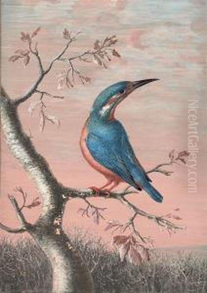 A Kingfisher On A Branch Oil Painting by Christophe-Ludwig Agricola