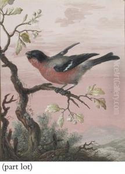 Birds, Each Perched On A Branch Oil Painting by Christophe-Ludwig Agricola