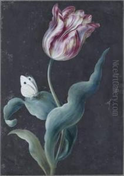 Tulipe Et Papillon Oil Painting by Christophe-Ludwig Agricola