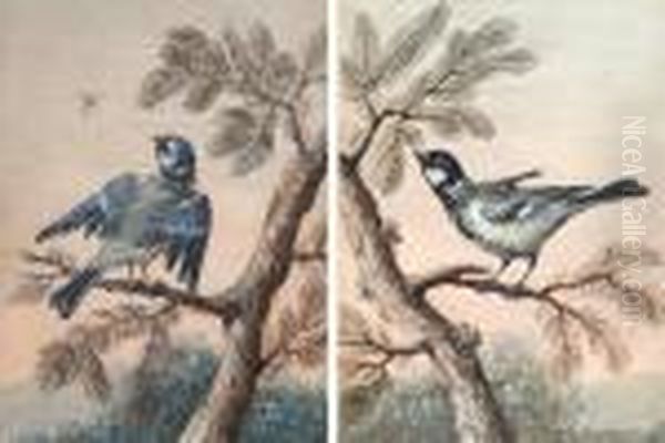 Oiseaux Sur Une Branche Oil Painting by Christophe-Ludwig Agricola