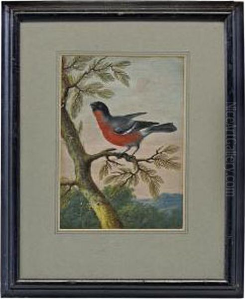 A Finch Resting On A Branch A Landscape Beyond Oil Painting by Christophe-Ludwig Agricola