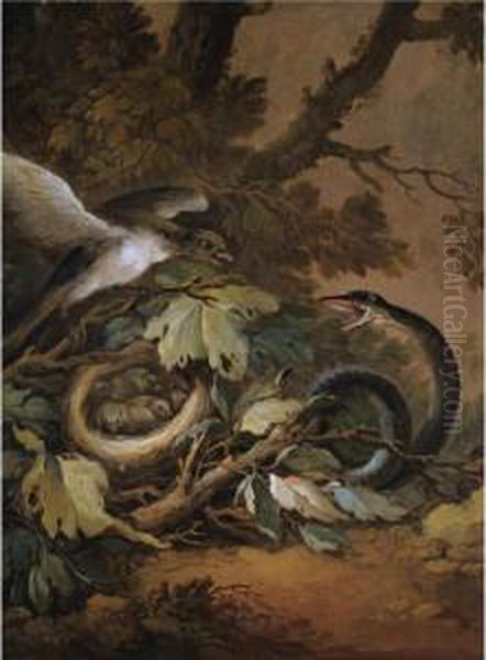 A Still Life With A Viper And A Bird's Nest Oil Painting by Christophe-Ludwig Agricola