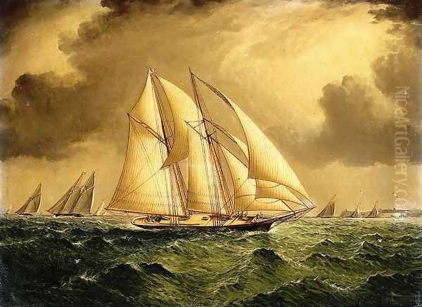 Schooners Racing off Sandy Hook Oil Painting by James E. Buttersworth