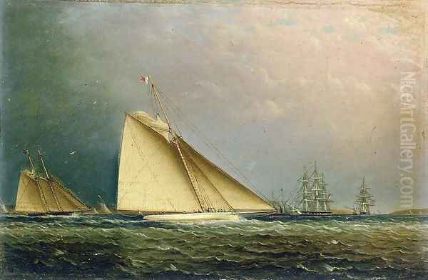 Puritan Racing Off of Staten Island Oil Painting by James E. Buttersworth