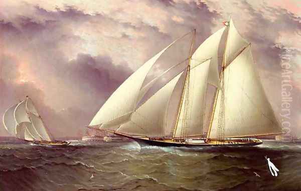 Schooner Racing off New York Harbor Oil Painting by James E. Buttersworth