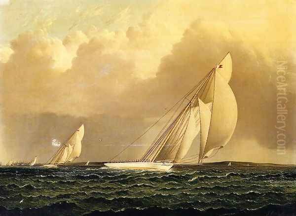 Yacht Race in New York Harbor Oil Painting by James E. Buttersworth