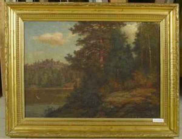 Wald Mit See. Oil Painting by Fredrik Ahlstedt