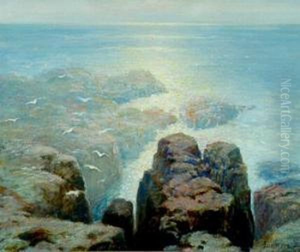 Seascape With Cliffs And Birds Oil Painting by Ernest Albert