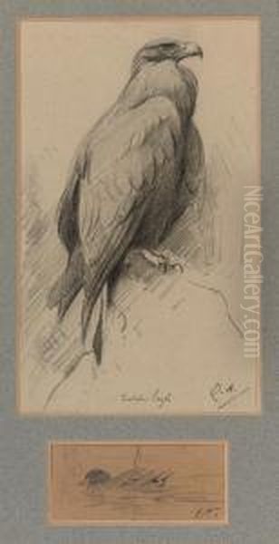 Study Of A Golden Eagle And A Mallard Oil Painting by Edwin John Alexander