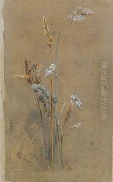 Grasses And Small Heath Oil Painting by Edwin John Alexander