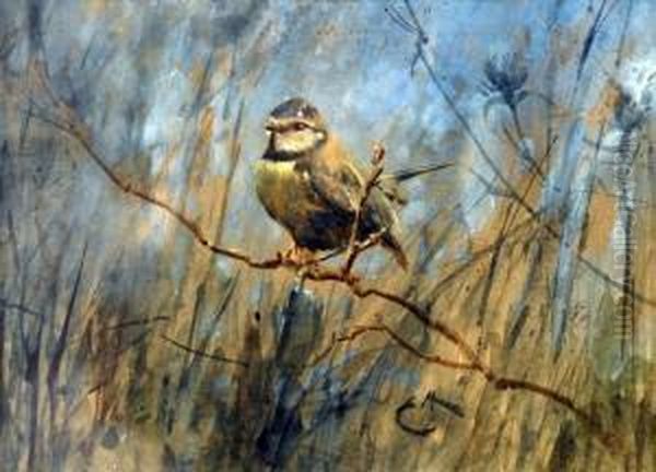 Blue Tit On A Branch Oil Painting by Edwin John Alexander