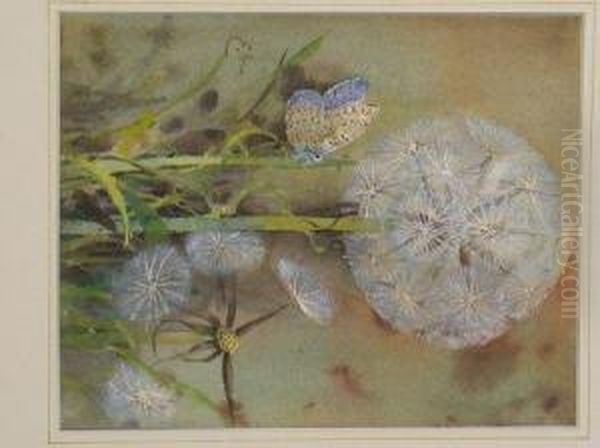 Dandelion Oil Painting by Edwin John Alexander