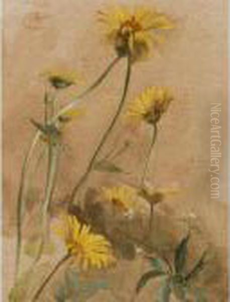 Yellow Daisies Oil Painting by Edwin John Alexander