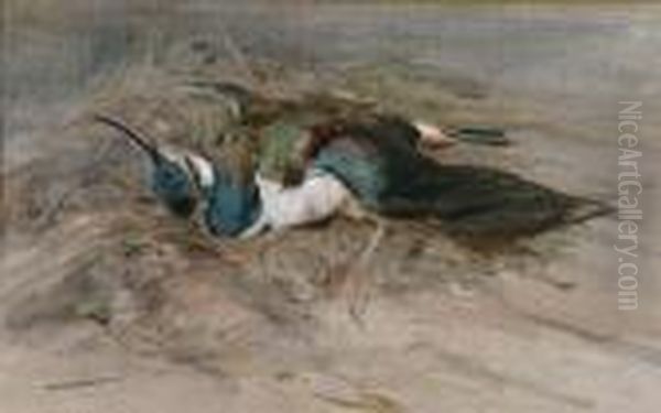 Dead Lapwing Oil Painting by Edwin John Alexander