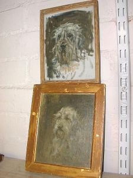 Head Study Of A Bearded Collie Oil Painting by Robert L. Alexander