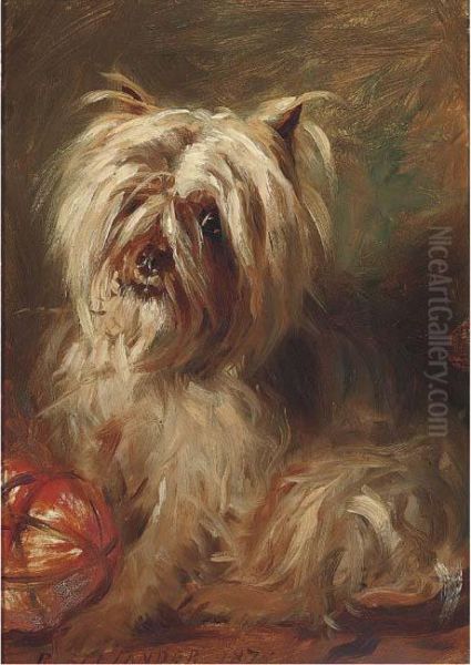 A Cairn Terrier Oil Painting by Robert L. Alexander