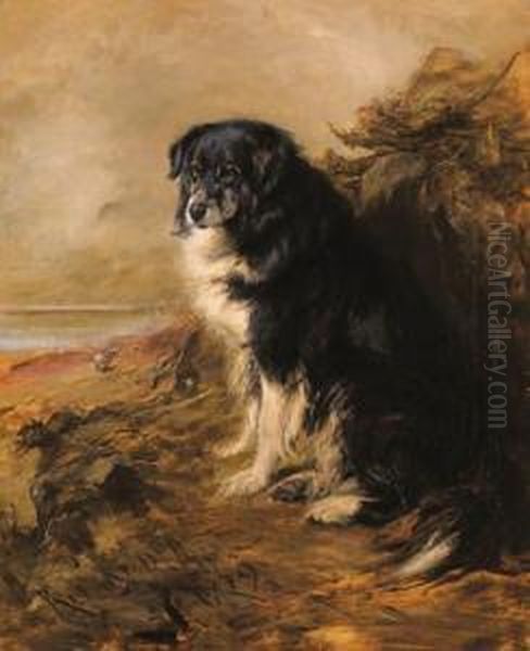 A Collie On Watch Oil Painting by Robert L. Alexander