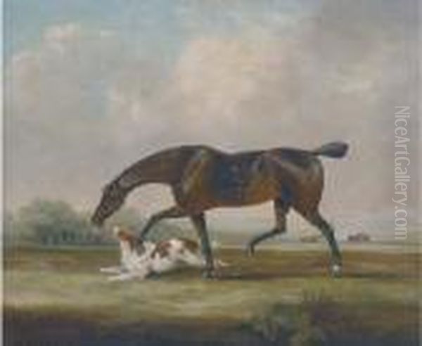 A Racehorse With A Spaniel Oil Painting by Samuel Jun Alken