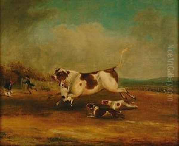 Bull Baiting Oil Painting by Samuel Jun Alken