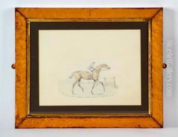 A Study Of The Racehorse Eclipse Oil Painting by Herny Jr Alken