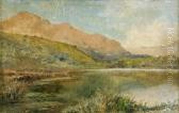 Paesaggio Montano Con Lago Oil Painting by Silvio Allason