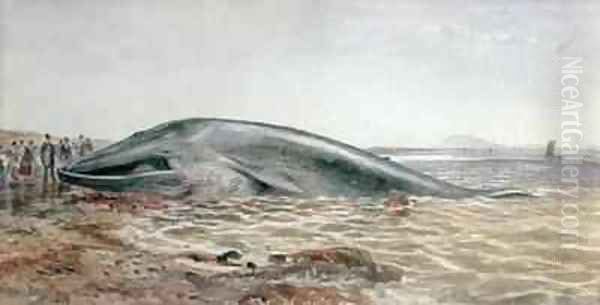 The Aberlady Whale, Longriddy Bay Oil Painting by Samuel Bough