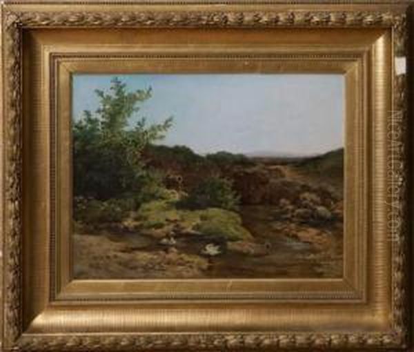 Paysage Marecageux Aux Canards Oil Painting by Anton Ii Altmann