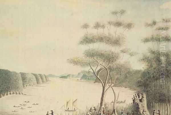 View in Broken Bay, New South Wales, 1788 Oil Painting by William Bradley