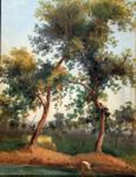 Paesaggio Oil Painting by Domenico Ammirato