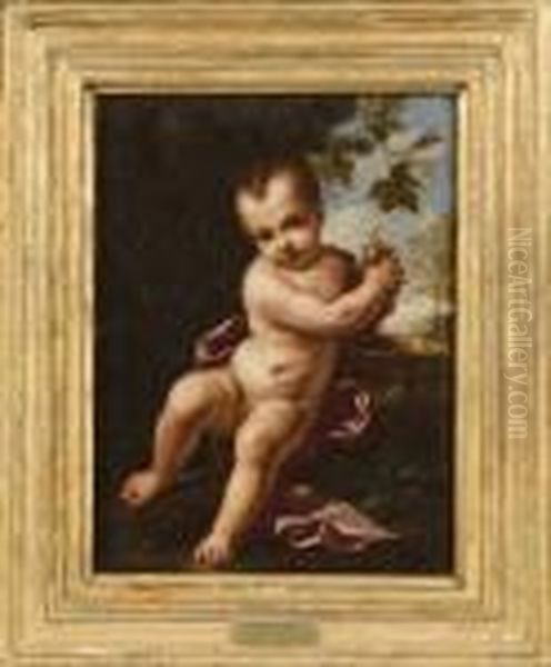 Bacco Bambino Oil Painting by Antonio Amorosi