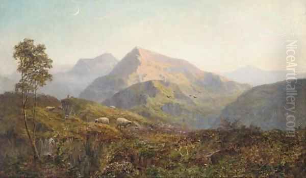 Sheep in a Highland landscape, evening Oil Painting by Alfred de Breanski