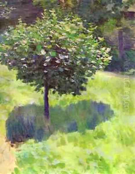 A Tree Study Oil Painting by Viktor Elpidiforovich Borisov-Musatov