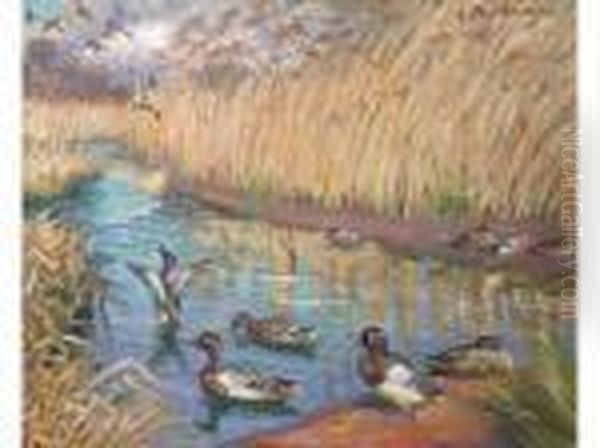 Canards Sur Un Etang Oil Painting by Alfred Louis Andrieux