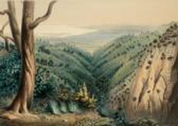 View From Mount Lofty Looking Over The Plains Of Adelaide Oil Painting by George French Angas