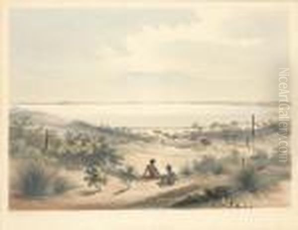 Lake Albert Oil Painting by George French Angas