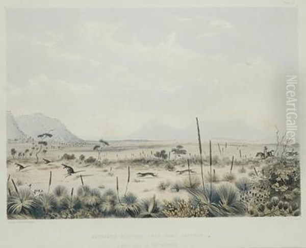 Kangaroo Hunting Near Port Lincoln Oil Painting by George French Angas