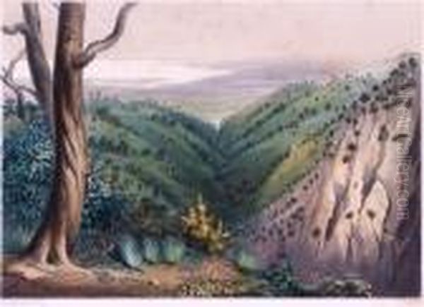 View From Mt Lofty Looking Over The Plains Of Adelaide Oil Painting by George French Angas