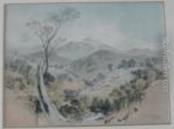 Ophir Summer Hill Creek Oil Painting by George French Angas