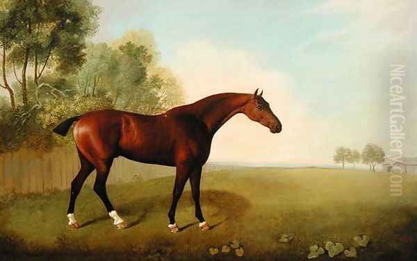 A Bay Horse in a Field, 1778 Oil Painting by John Boultbee