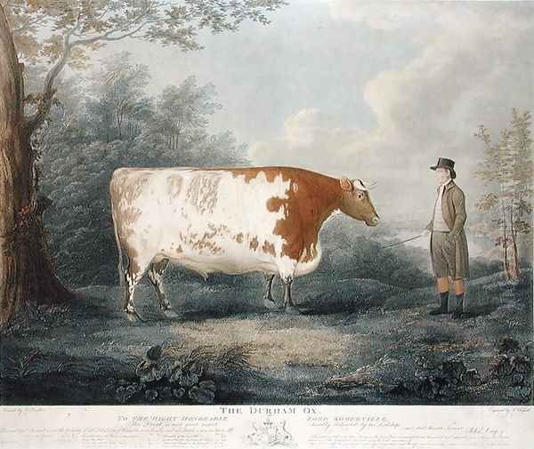 The Durham Ox, 1802 Oil Painting by John Boultbee