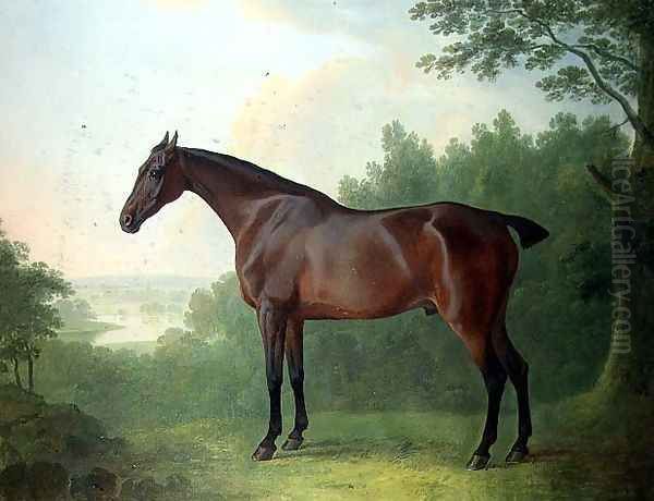 'Marquis', a bay hunter in a landscape, 1811 Oil Painting by John Boultbee