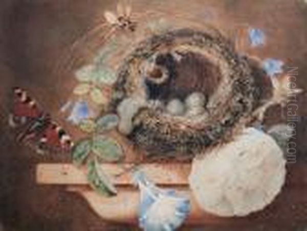 Still Life With Birds Nest On A Ledge Oil Painting by Helen Cordelia Coleman Angell