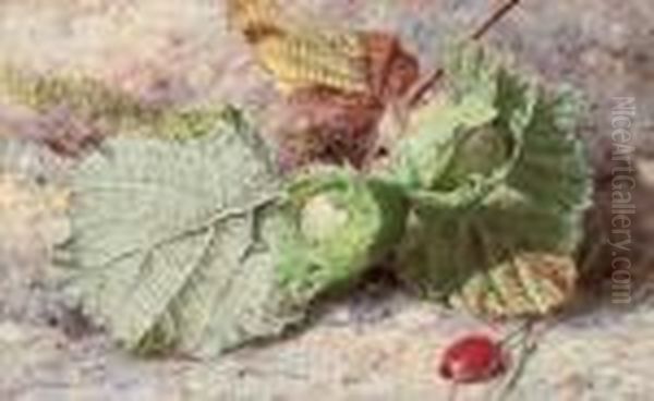 Still Life Of Hazelnuts And A Rose Hip Oil Painting by Helen Cordelia Coleman Angell