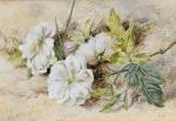 A Still Life Of A Dog Rose Oil Painting by Helen Cordelia Coleman Angell